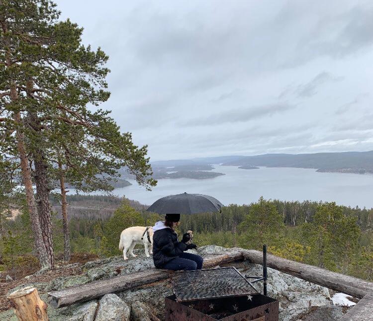 Snibben Hoega Kusten Ramvik Luaran gambar
